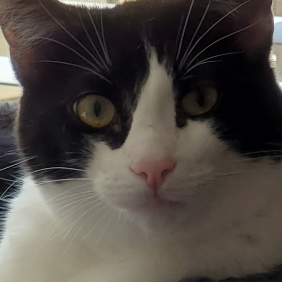 Meet your Posher~ - Picture 5 of 16